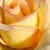 Rumena - Vrtnica čajevka - Elegant Beauty®